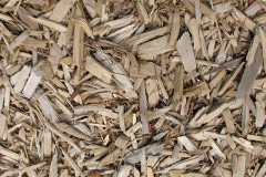 biomass boilers Burton Pidsea